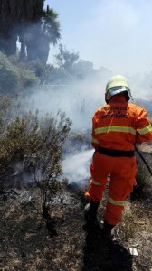 Volontari APCVT in azione