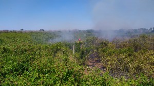 Volontari APCVT in azione